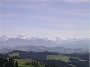 Walter 08.07.08-02.01.200941